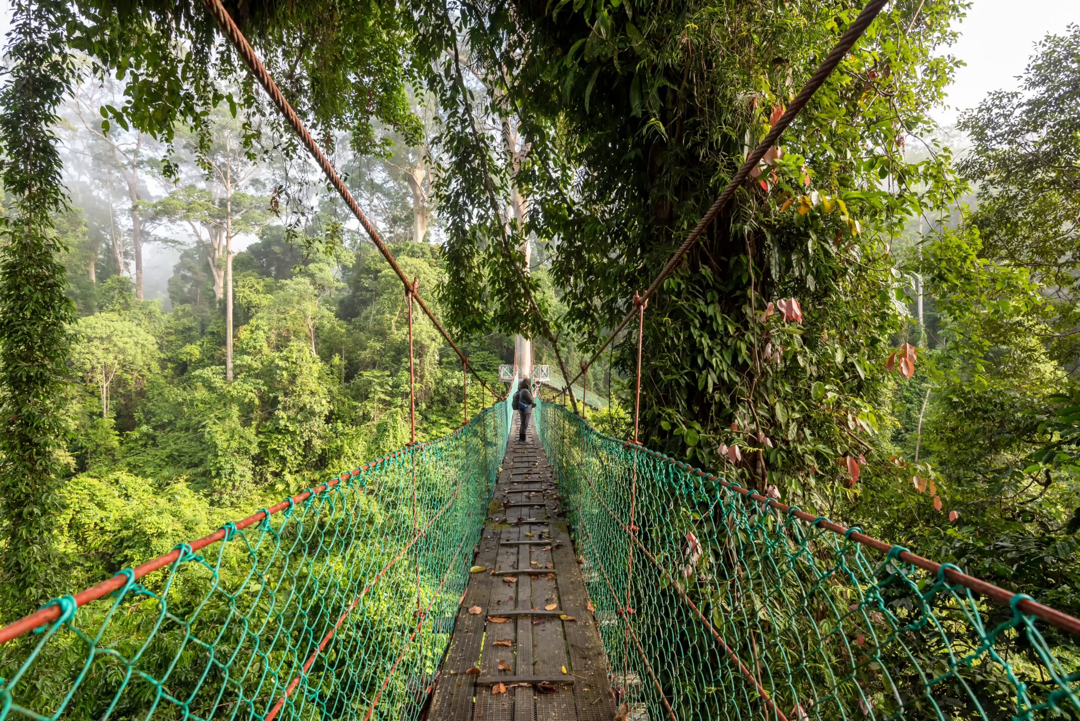 Ipoh, Krijtbergrotsen, meer