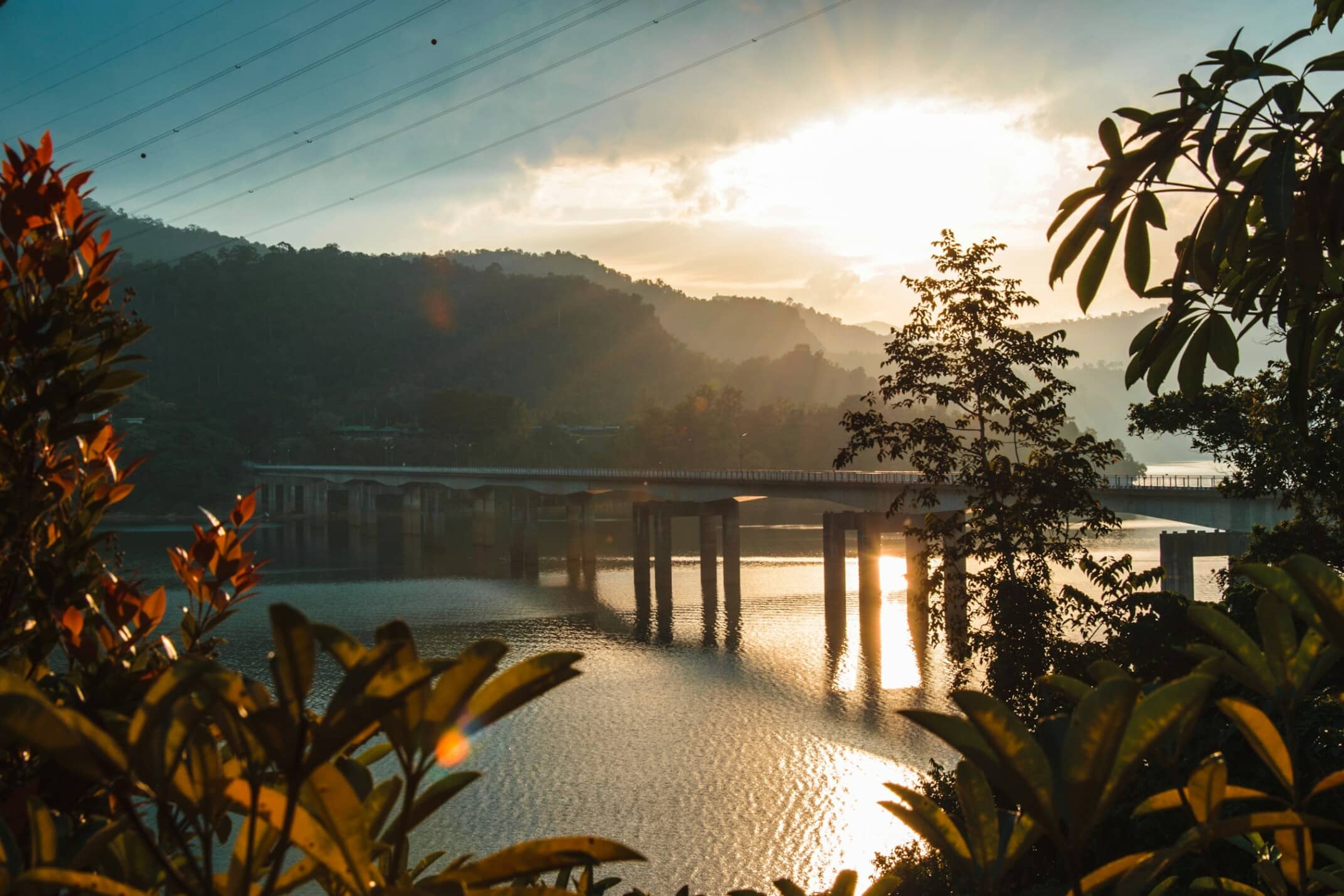 Photo by Job Savelsberg, belum rainforest a bridge over a body of water surrounded by trees